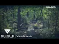 Marie Robards Morbid Podcast