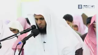 الشيخ منصور السالمي تلاوة مرئية من سورة فاطر 
