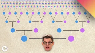 are we all related