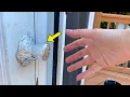 Police Say Wrap Your Door Knobs In Foil When Alone Here s Why