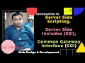 What is Server Side Scripting Urdu Hindi