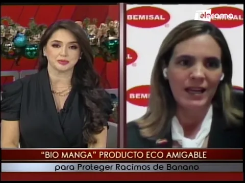 Bio Manga producto eco amigable para proteger racimos de banano