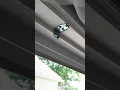 How to install Mainstay Cordless Blind window Mini Blind Vinyl