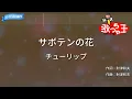 【カラオケ】サボテンの花/チューリップ