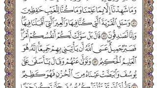 سورة يوسف الصفحة 245 من القران للشيخ ياسر الدوسري 