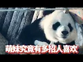 Download Lagu 看到奶妈摸着飞云的小脸夸夸，才发现萌妹究竟有多招人喜欢！#飞云 #动物 #治愈 #温情