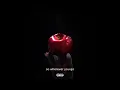 Taste of the Divine (Official Lyric Video)