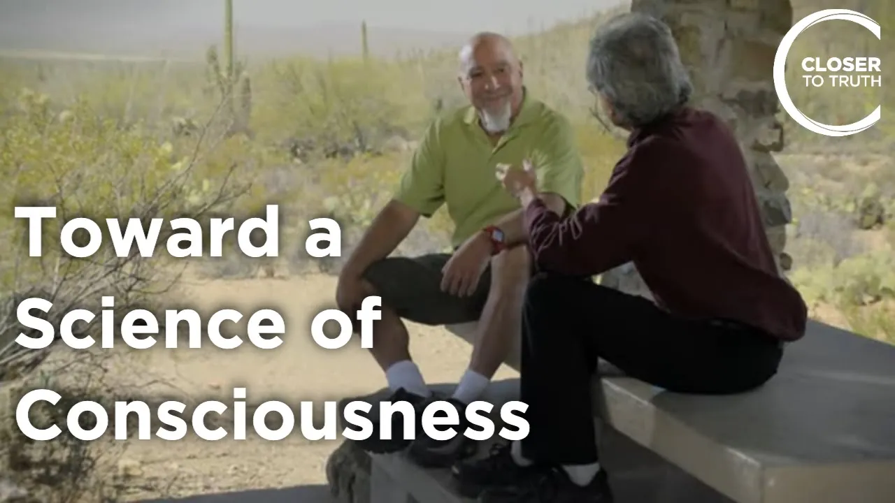 Stuart Hameroff - Toward a Science of Consciousness