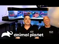 The Craziest Fish Tanks Ever Built Tanked Animal Planet