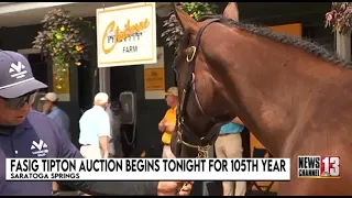 Saratoga Fasig Tipton president hopeful to beat 100M record