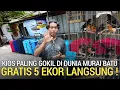 Lagu KIOS BMJ ! BELI 1 GRATIS 1 EKOR MURAI BATU FREE ONGKIR SE-INDONESIA BOWO MURAI JELAMBAR 