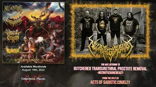 kill everything necroticgorebeast virulent excision gorepot acts of sadistic cruelty promo 