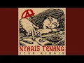 Lagu Nyaris Tenang