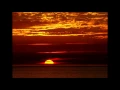 The Ocean by Mike Perry (ft. Shy Martin)