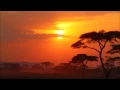 House Victimz Meets Cani B feat. Kenny Allen - Shine (Original Mix)