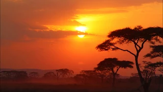 house victimz meets cani b feat kenny allen shine original mix 