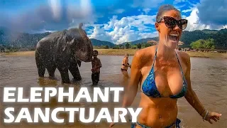 Elephant Sanctuary – S3:E25