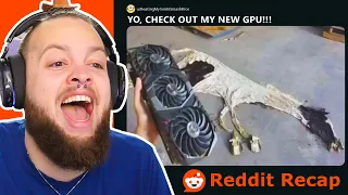 The Funniest Reddit Recap of All Time frfr - r/StanleyMOV