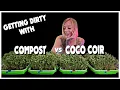Compost vs Coco Coir for Microgreens Which Medium Is Better