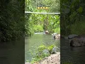 Download Lagu Nenek buang air besar di sungai 😂 | #shorts #funny #viral