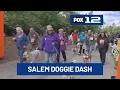 Hundreds of people pets join Oregon Humane s Doggie Dash in Salem
