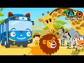 Giraf! De superster van de herbivoren l Safaribus Tayo l Leer dieren kennen met voertuigen