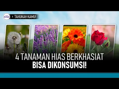 4 Tanaman Hias yang Bisa Dimakan dan Manfaatnya Untuk kesehatan