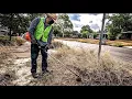 Download Lagu Mowing an Abandoned House with Tall Grass and Overgrown Branches | Neighborhood Cleanup