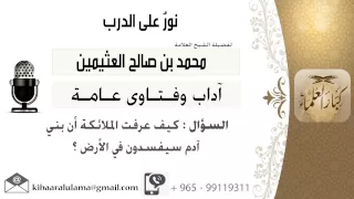 لقاء     من      كيف عرفت الملائكة أن بني آدم سيفسدون في الأرض    الشيخ محمد بن صالح العثيمين دندنها