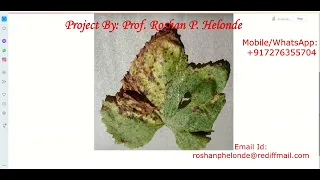 Grape Leaf Disease Prediction Using Image Processing Python Project With Source Code