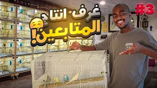 انتاج المتابعين في البيوت 3 