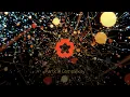 Notch Tutorials - Particle Complexity