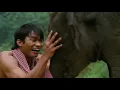 Download Lagu Película de tony jaa Thai Dragon casi completa