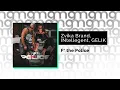 Zvika Brand, INtellegent, GELIK - F*the Police (Официальный релиз) @Gammamusiccom