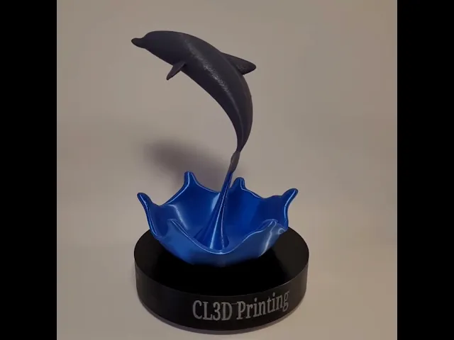 Dolphin Coin / Ring Tray video thumbnail