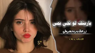 ياريتك لو تجي يمي    اغاني تيك توك        زرعتك ورده بعروقي   مطلوبه أكثر شيء  دندنها
