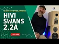 The Curse of the HIVI Swans 2.2a Loud Speaker Video, DIY KIT
