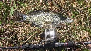Testing Out a Classic Zebco 33 Multi Species Surprising Results