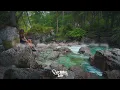 Michael Calfan - Silhouette [Lyrics]