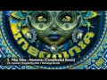 Download Lagu Vibe Tribe - Memories (Complicated Remix)