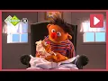 Download Lagu 15 MINUTEN BERT \u0026 ERNIE | Sesamstraat | NPO Zappelin
