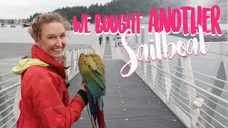 We bought ANOTHER sailboat | SMLS  S11E02