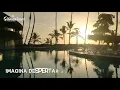 Bachata Rosa en Punta Cana