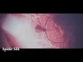 Download Lagu Nightwish - Spider Silk (OFFICIAL LYRIC VIDEO)