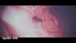 Nightwish - Spider Silk (OFFICIAL LYRIC VIDEO)