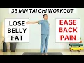 Rejuvenate Your Body After 50 Gentle Tai Chi for Belly Fat Back Pain