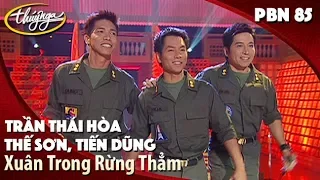 Download PBN 85 | Thế Sơn, Trần Thái Hòa, Tiến Dũng - Xuân Trong Rừng Thẳm MP3