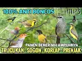 Download Lagu Suara pikat Trucukan, Sogon, Korlap, Prenjak Atas Ampuh | Ini pemikat terdahsyat