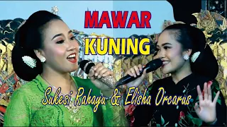 Download Langgam MAWAR KUNING Sukesi Rahayu DUET Elisha Orcarus Allasso MP3