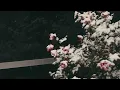 Pada Syurga Di Wajahmu – Nash | Slow Rock Melayu Nostalgia 90an | Irama Alamku
